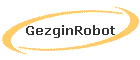 GezginRobot